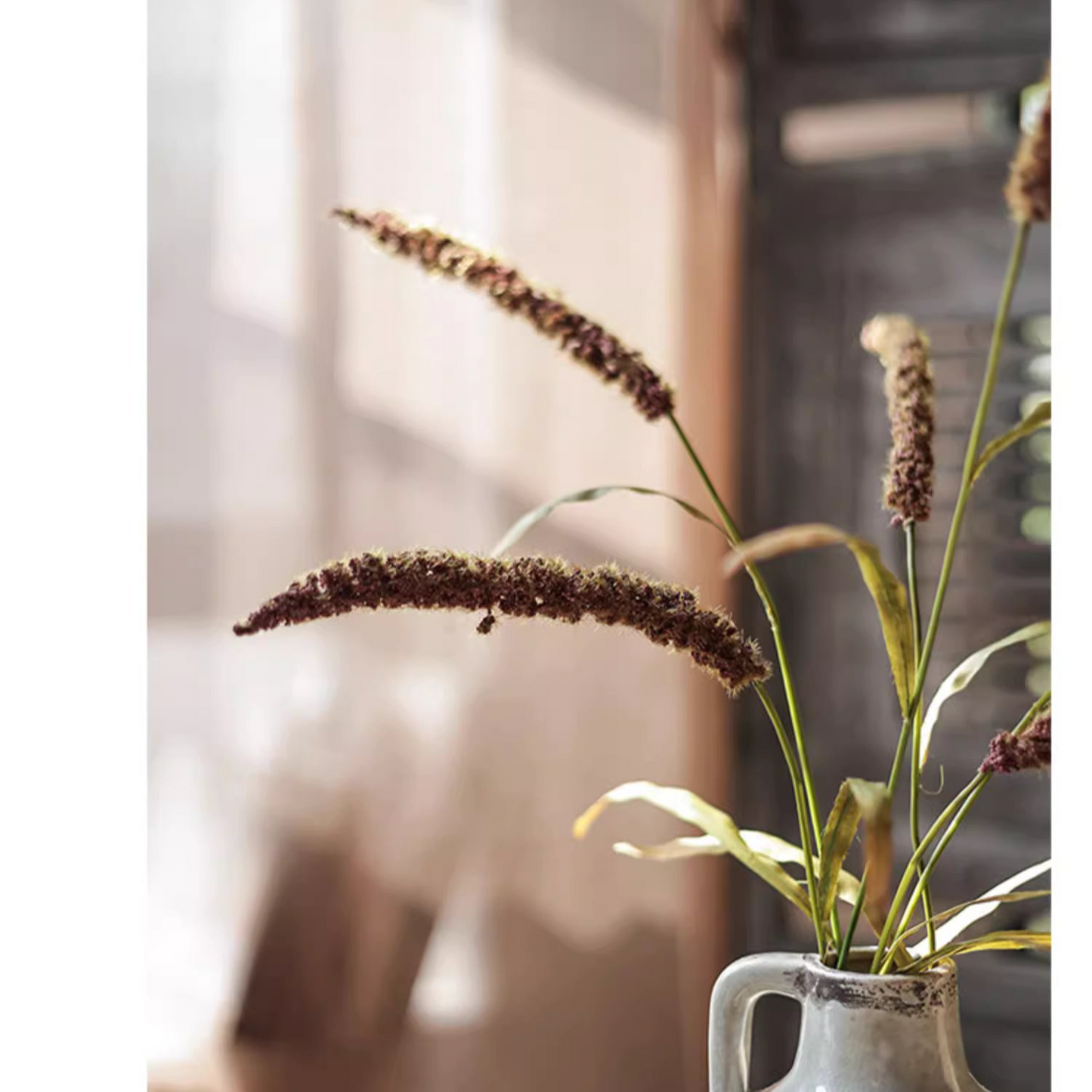 Three-Headed Dogtail Grass Stem - 39" Tall