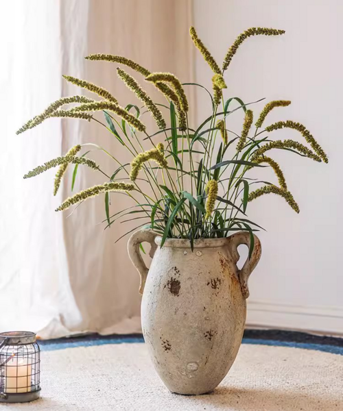 Three-Headed Dogtail Grass Stem - 39" Tall