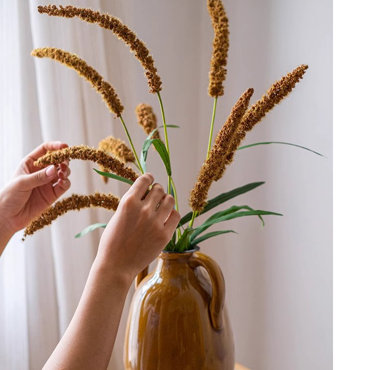 Three-Headed Dogtail Grass Stem - 39" Tall