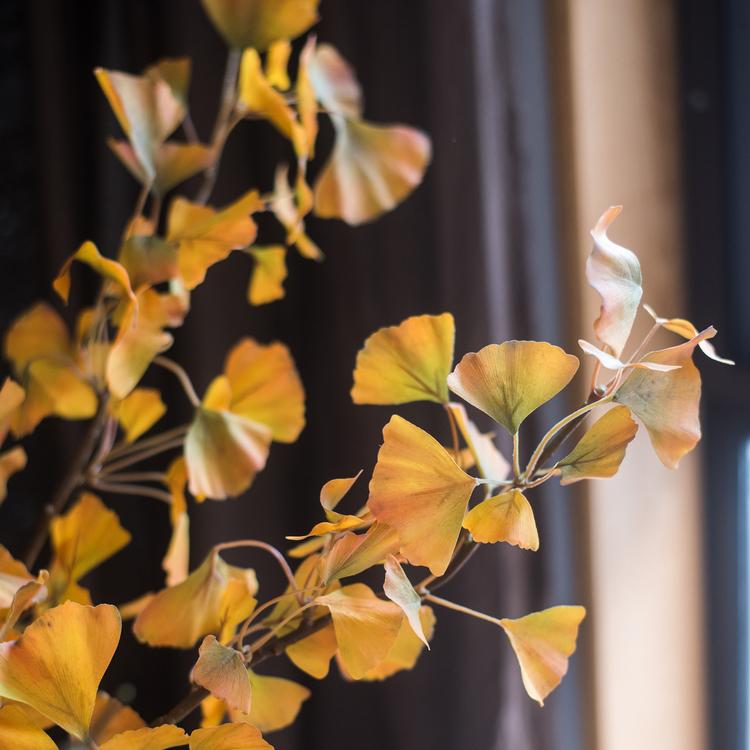 Yellow Artificial Ginkgo Leaf Stem - 37" Tall Faux Plant