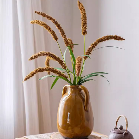 Three-Headed Dogtail Grass Stem - 39" Tall