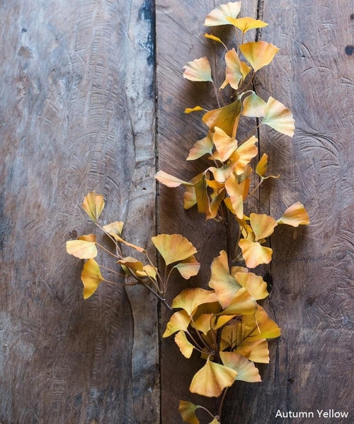 Yellow Artificial Ginkgo Leaf Stem - 37" Tall Faux Plant