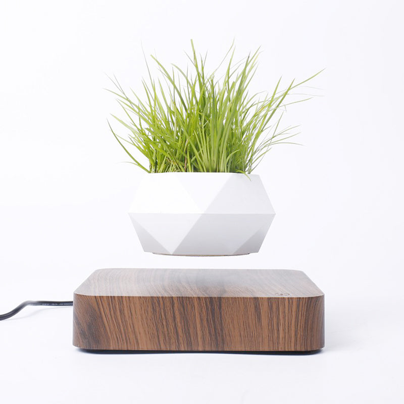 Novelty Magnetic Levitation Rotating Flowerpot