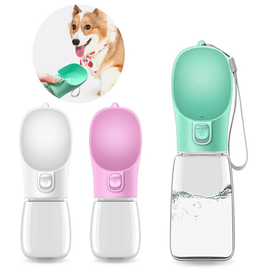 Outdoor Pet Feeder and Water Dispenser